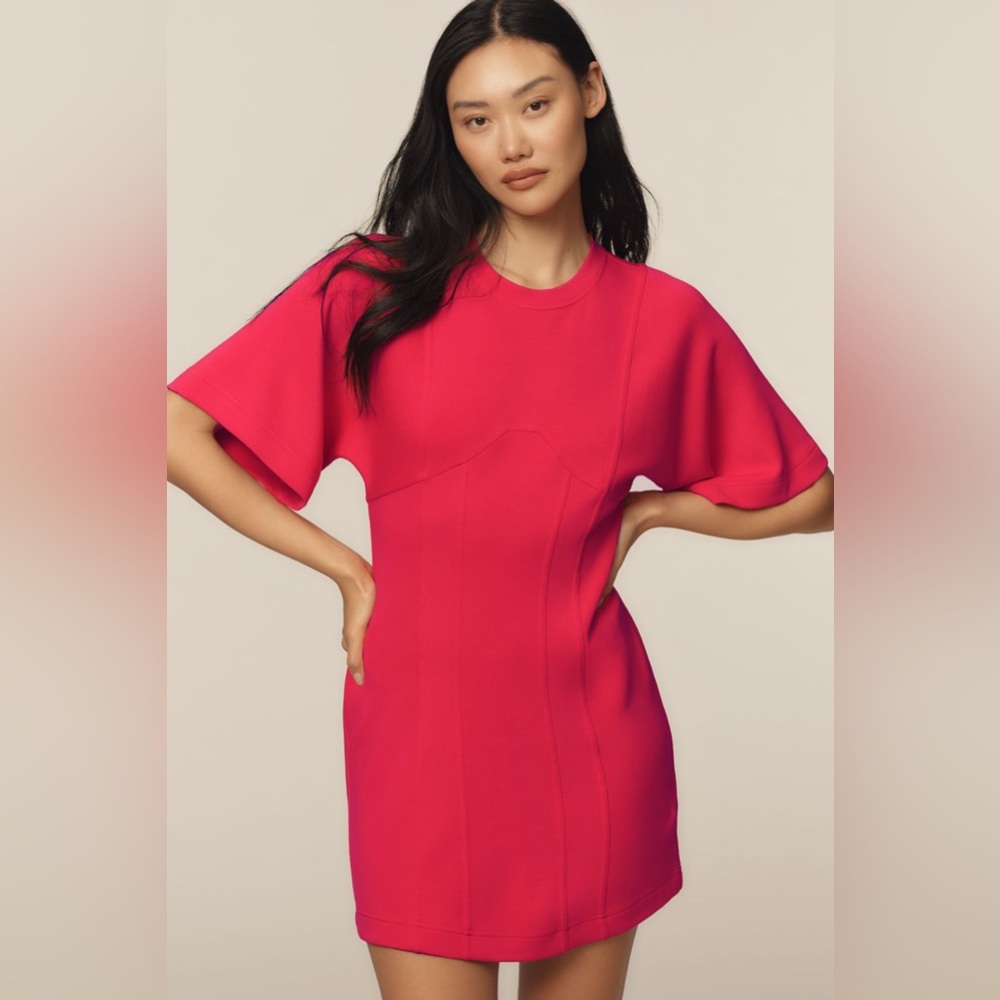 Anthropologie NWT Daily Practice Short Sleeve Coquette Mini Pink Dress Size S
